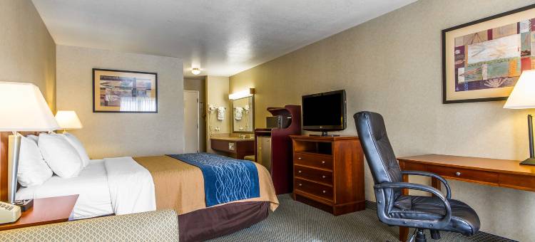 纳帕谷六旗探索王国凯艺酒店(Quality Inn Near Six Flags Discovery Kingdom-Napa Valley)图片