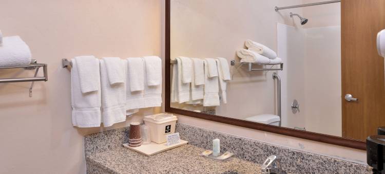 锡安公园区凯艺酒店(Quality Inn Zion Park Area)图片