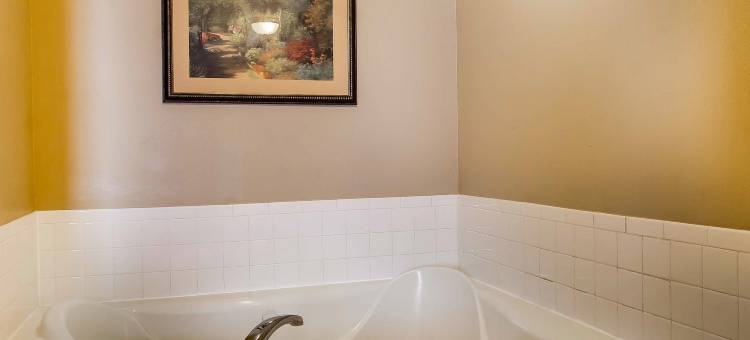 塔斯卡卢萨大学附近舒适全套房酒店(Comfort Suites Tuscaloosa Near University)图片