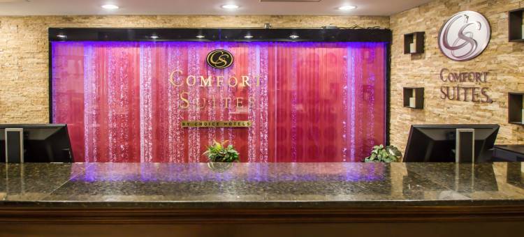 纽约门户品质套房酒店(Quality Suites NYC Gateway)图片