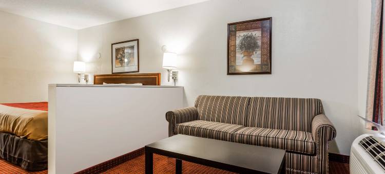 马修斯夏洛特伊克诺旅馆(Econo Lodge Inn & Suites Matthews - Charlotte)图片