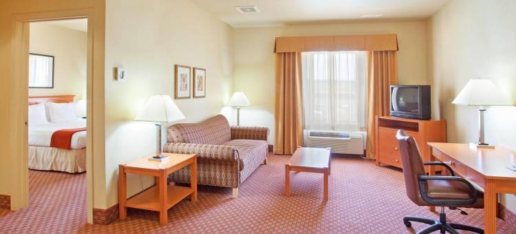 智选假日套房酒店弗里蒙特 - 中央米尔皮塔斯(Holiday Inn Express & Suites Fremont - Milpitas Central)图片