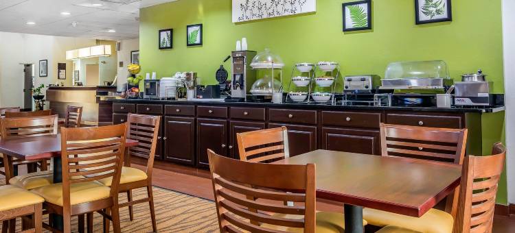 亚特兰大桃树市舒眠酒店(Sleep Inn Peachtree City - Atlanta)图片