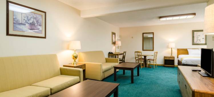 品质酒店及套房(Quality Inn & Suites)图片