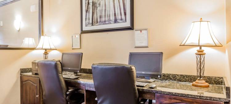 克林顿舒适套房酒店 - 近长老会学院(Comfort Suites Clinton Near Presbyterian College)图片