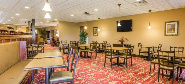 舒适套房酒店(Comfort Suites)图片