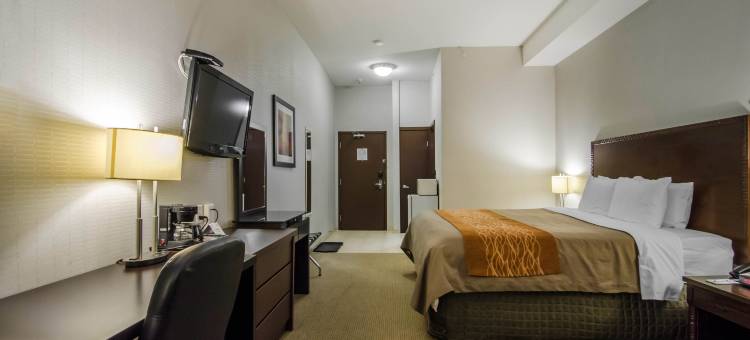 舒适酒店(Comfort Inn)图片