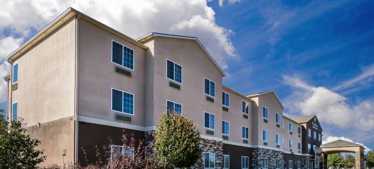 近伯特利学院舒适套房酒店(Comfort Inn & Suites Near Bethel College)图片