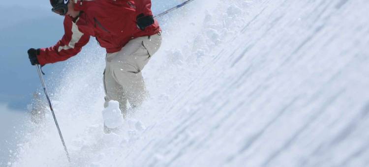 桑德波因特费尔布里奇套房酒店(FairBridge Inn and Suites Sandpoint)图片