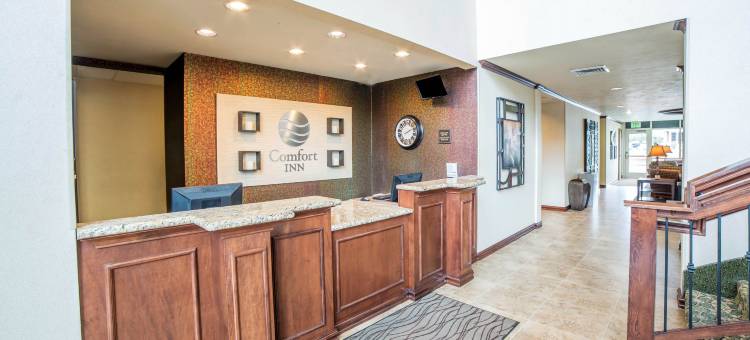 市中心舒适酒店(Comfort Inn Downtown)图片