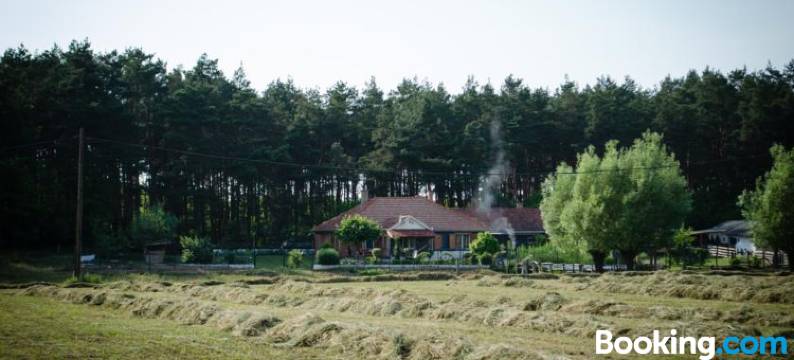 慵懒时光旅馆(Lazy Days)图片