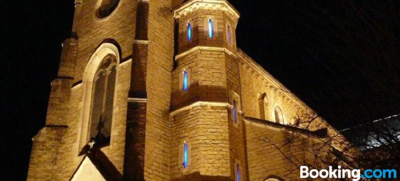 圣奈雷塔佩酒店(L'Etape de Santenay)图片