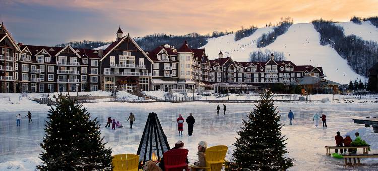 蓝山延龄大厦威斯汀酒店(The Westin Trillium House, Blue Mountain)图片