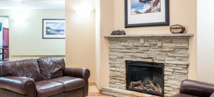 Super 8 by Wyndham St Johns图片