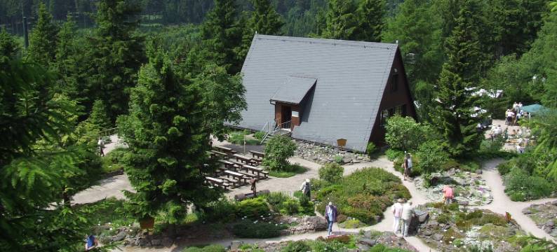 奥贝罗夫瓦格纳运动酒店(Wagners Sporthotel Oberhof)图片