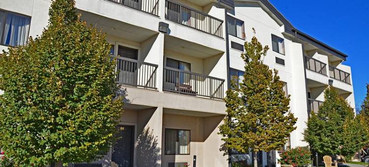 乡村贝斯特韦斯特优质套房酒店(Best Western Plus Country Inn  Suites)图片