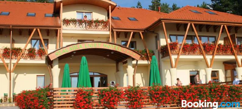 萨拉吉卡里格特酒店(Szalajka Liget Hotel es Apartmanhazak)图片