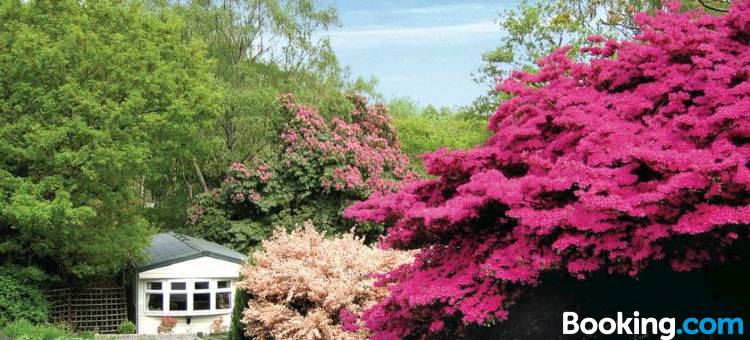 阿伯杜南特庄园假日公园，斯诺多尼亚(Aberdunant Hall Holiday Park, Snowdonia)图片