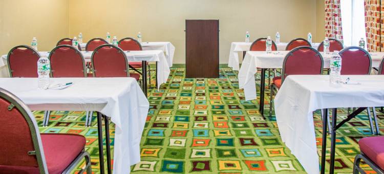 品质套房酒店(Quality Suites)图片