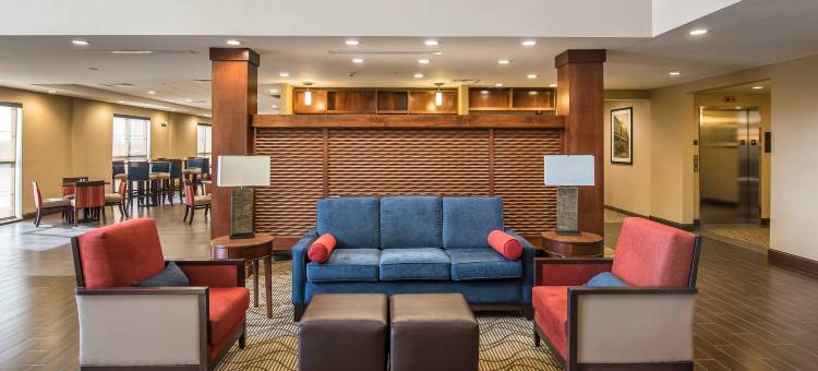 舒适套房酒店(Comfort Suites - Dodge City)图片