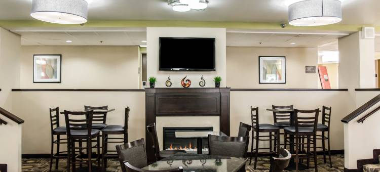 舒适酒店及套房-圣彼得堡-克利尔沃特国际机场(Comfort Inn & Suites St Pete - Clearwater International Airport)图片