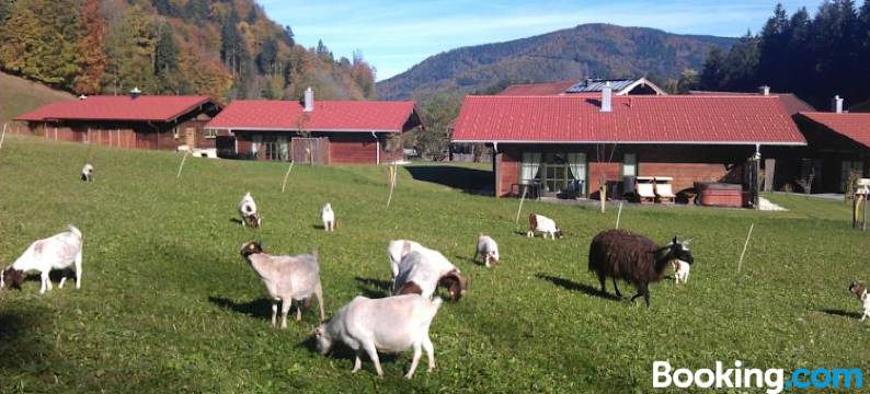 维彻公寓木屋酒店(Chalets & Apartments Beim Waicher Zwischen Salzburg Und Chiemsee)图片