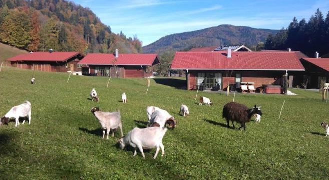 维彻公寓木屋酒店(Chalets & Apartments Beim Waicher Zwischen Salzburg Und Chiemsee)