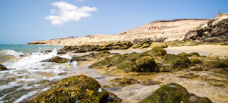 埃斯梅拉达马里斯酒店(Hotel Esmeralda Maris by LIVVO)图片