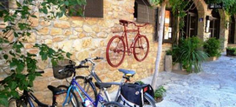 Apartamento Con Chimenea - Golfes Cal Gravat图片