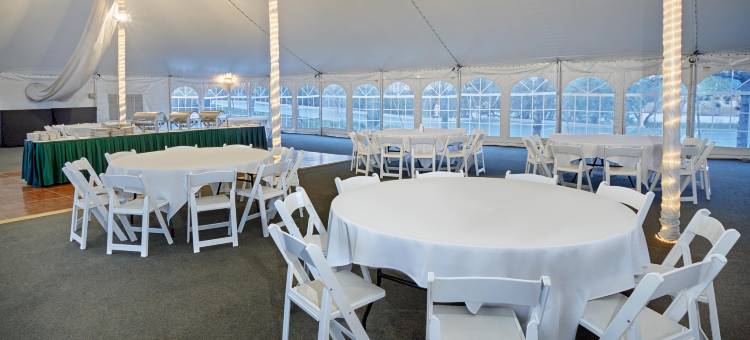 Holiday Inn & Suites 芝加哥罗斯奇姆(惠顿)(Holiday Inn & Suites Chicago-Carol Stream (Wheaton))图片