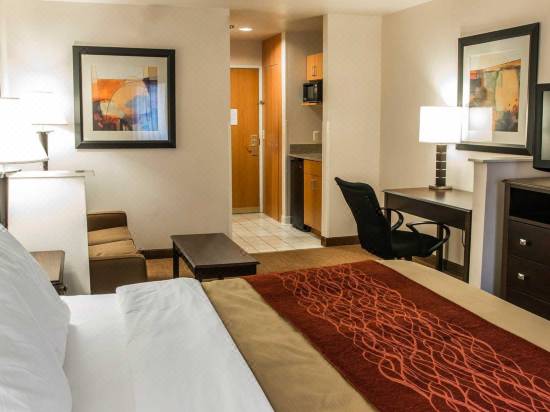 Comfort Inn Suites Fenton Hotel Reviews And Room Rates Trip Com