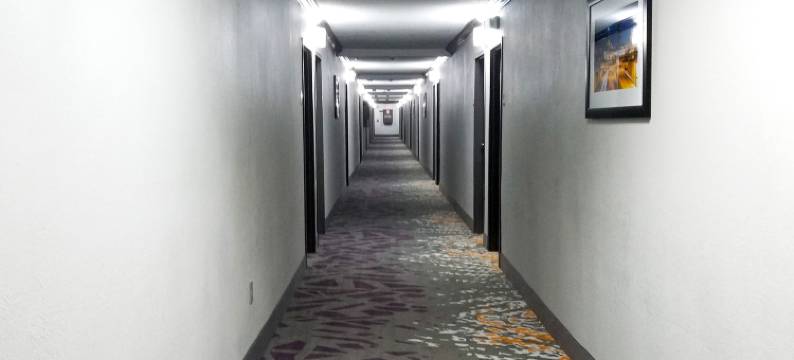 Spark by Hilton 诺克斯维尔北 I-75(Spark by Hilton Knoxville North I-75)图片