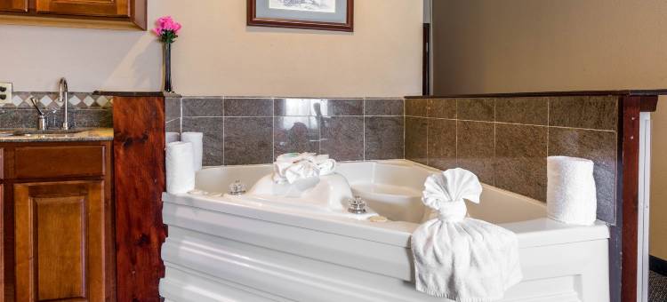 西布鲁克-NASA-凯马品质酒店及套房(Quality Inn and Suites Seabrook - NASA - Kemah)图片