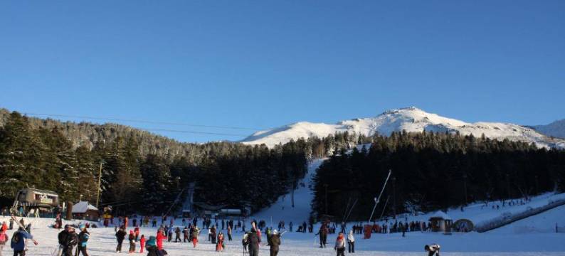 Aux环球旅行者(Aux Globe Trotters)图片