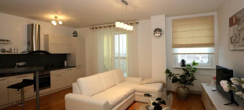 帕内韦日斯公寓(Apartments Panevezys)图片