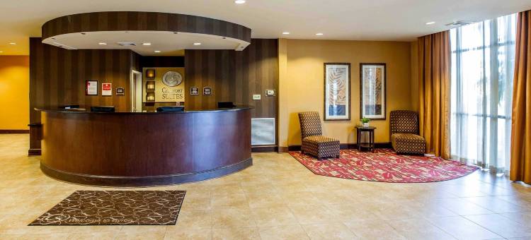 拜伦华纳罗宾斯舒适套房酒店(Comfort Suites Byron Warner Robins)图片
