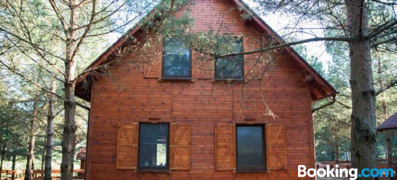 Domki w Borach图片