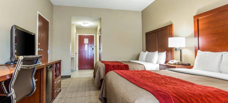 邓肯斯维尔阿尔图纳舒适酒店(Comfort Inn Duncansville - Altoona)图片