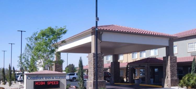 拉斯克鲁塞斯梅斯拉舒适套房酒店(Comfort Inn & Suites Las Cruces Mesilla)图片
