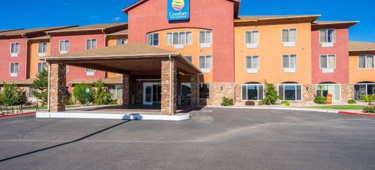 舒适套房(Comfort Inn & Suites)图片