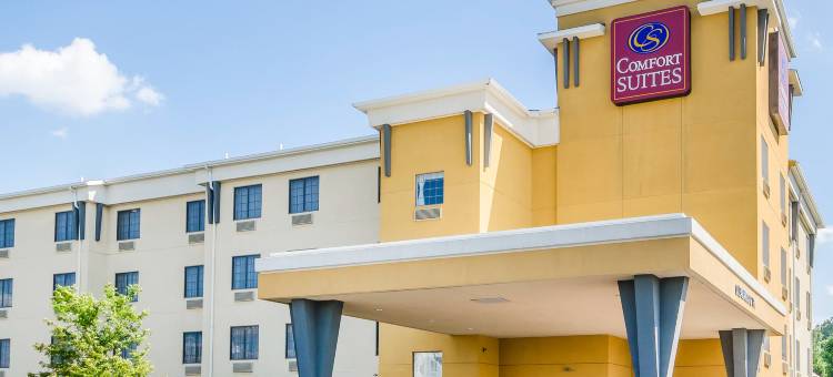 舒适套房酒店(Comfort Suites)图片