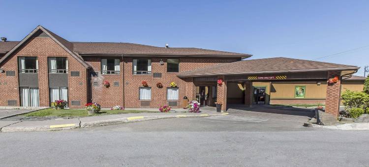 舒适酒店(Comfort Inn)图片