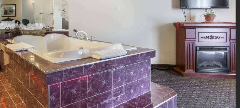 主要酒店(Hôtel le Principal)图片