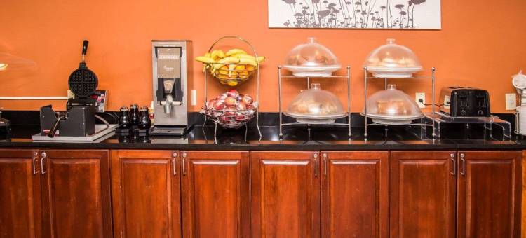 康科德米尔斯-舒眠酒店及套房(Sleep Inn & Suites at Concord Mills)图片