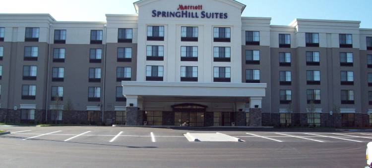 惠灵特瑞阿德尔福亚地区万豪SpringHill酒店(SpringHill Suites Wheeling Triadelphia Area)图片