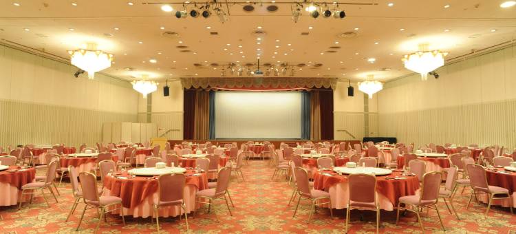 鹿儿岛太阳皇家酒店(Kagoshima Sun Royal Hotel)图片