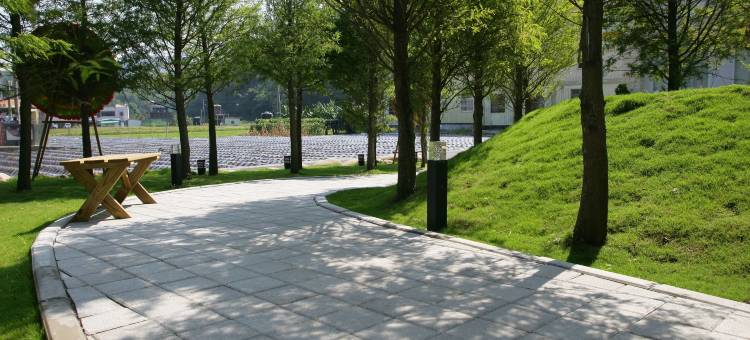 夏内尔落羽松民宿图片