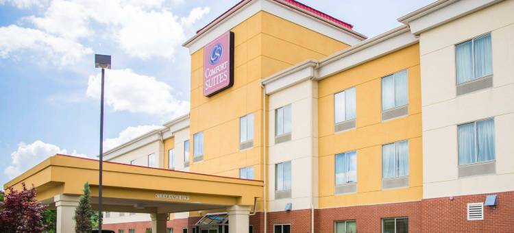 辛辛那提机场舒适套房酒店(Comfort Suites Cincinnati Airport)图片