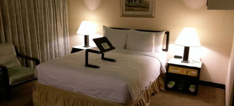 台南首相大饭店图片