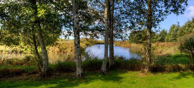 沃伦顿希洛套房酒店(Shilo Inn Suites Warrenton)图片